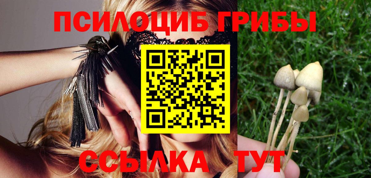 Псилоцибиновые грибы ЛСД Киселёвск